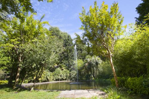 veientana-giardino (4)
